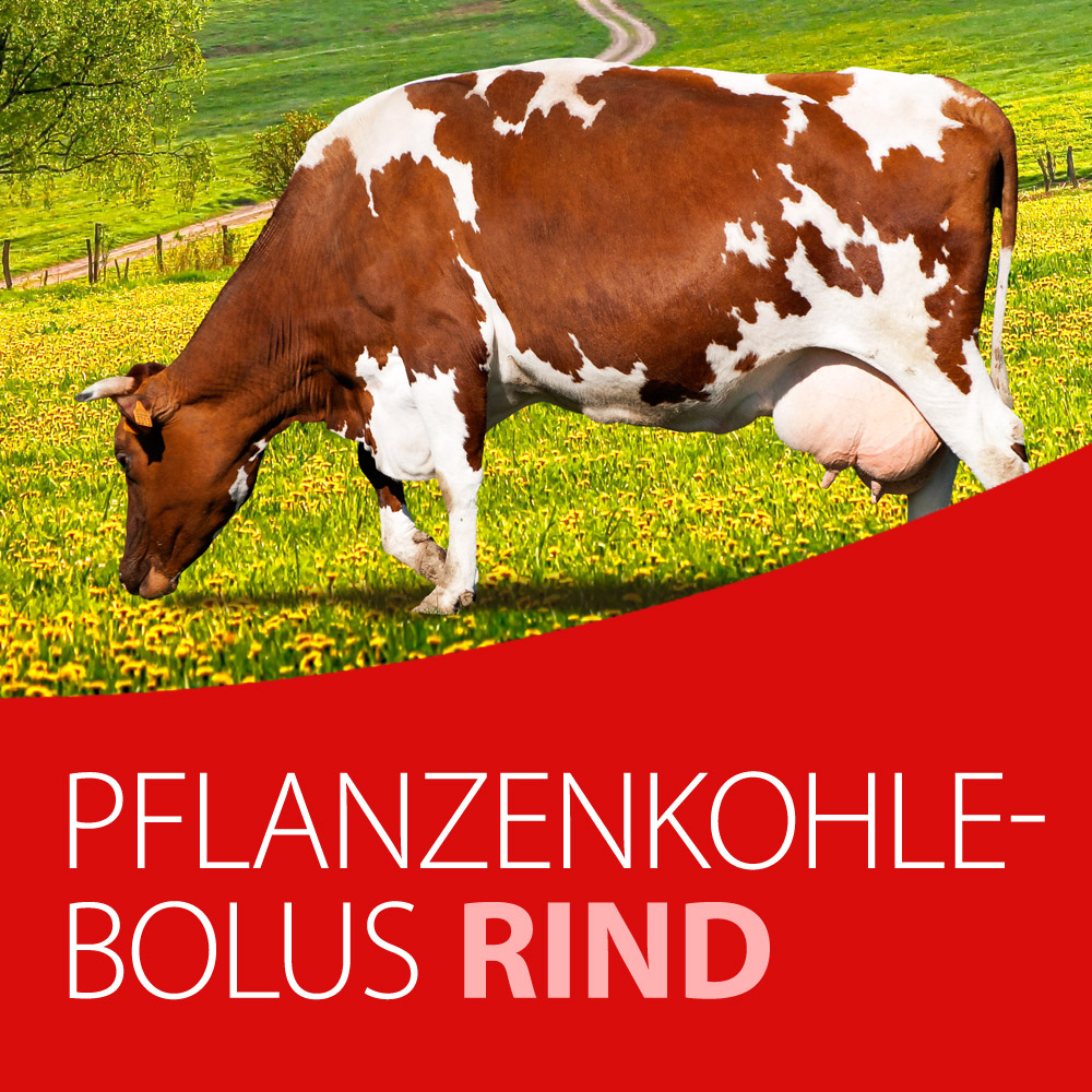 Hanseatic Agri Pflanzenkohle-Bolus Rind